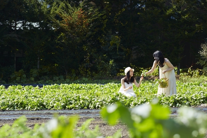 星野リゾートのプレスリリース画像7