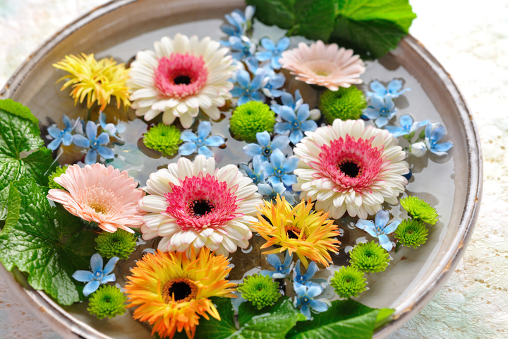 星野リゾートのプレスリリース画像2