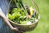 星野リゾートのプレスリリース画像7