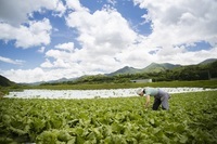 星野リゾートのプレスリリース画像9