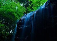 星野リゾートのプレスリリース画像4