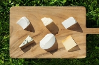 星野リゾートのプレスリリース画像2