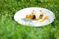 星野リゾートのプレスリリース