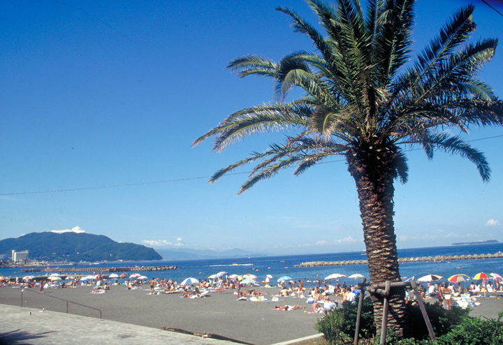 星野リゾートのプレスリリース画像4