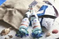 星野リゾートのプレスリリース画像3