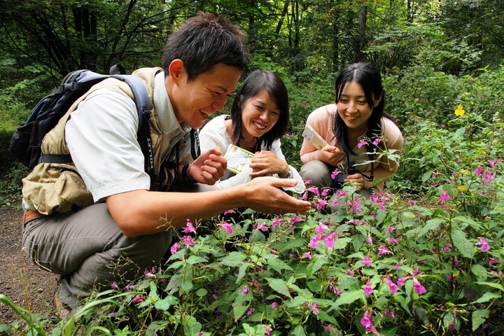 ピッキオ 長野県 軽井沢町 ウソかホントか花言葉 をテーマに森を歩く自然観察ツアーを開催 開催期間 18年7月28日 9月2日 星野リゾートのプレスリリース ピッキオ 長野県 軽井沢町 ウソかホントか花言葉 をテーマに森を歩く自然観察ツアーを開催 開催期間 18年7月28日 9月2日 星野リゾートのプレスリリース