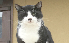 遺品整理クリーンサービスのプレスリリース画像1