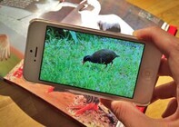 アララ株式会社のプレスリリース