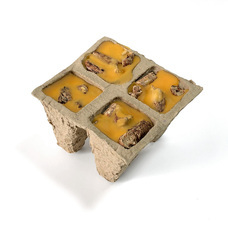 有限会社アクロスのプレスリリース画像8