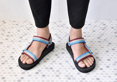 有限会社アクロスのプレスリリース画像6