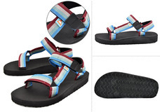 有限会社アクロスのプレスリリース画像5