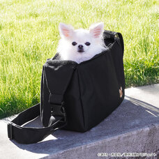 有限会社アクロスのプレスリリース画像11