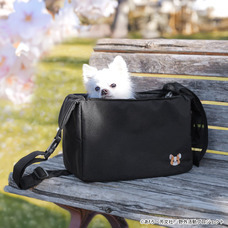 有限会社アクロスのプレスリリース画像10