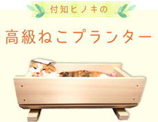 有限会社ケイカンパニーのプレスリリース画像1