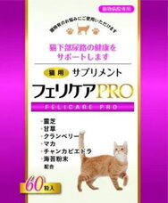 有限会社ケイカンパニーのプレスリリース画像4