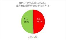 有限会社ケイカンパニーのプレスリリース画像3