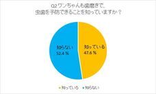 有限会社ケイカンパニーのプレスリリース画像2