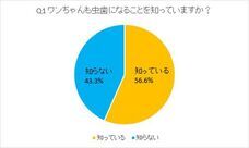 有限会社ケイカンパニーのプレスリリース画像1