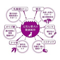 有限会社ケイカンパニーのプレスリリース画像2