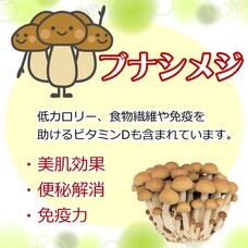 有限会社ケイカンパニーのプレスリリース画像2