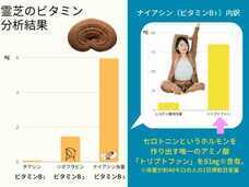 有限会社ケイカンパニーのプレスリリース画像2