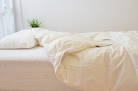 まくら株式会社のプレスリリース画像2