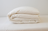 まくら株式会社のプレスリリース画像4