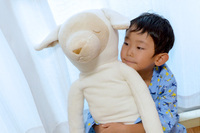 まくら株式会社のプレスリリース画像4