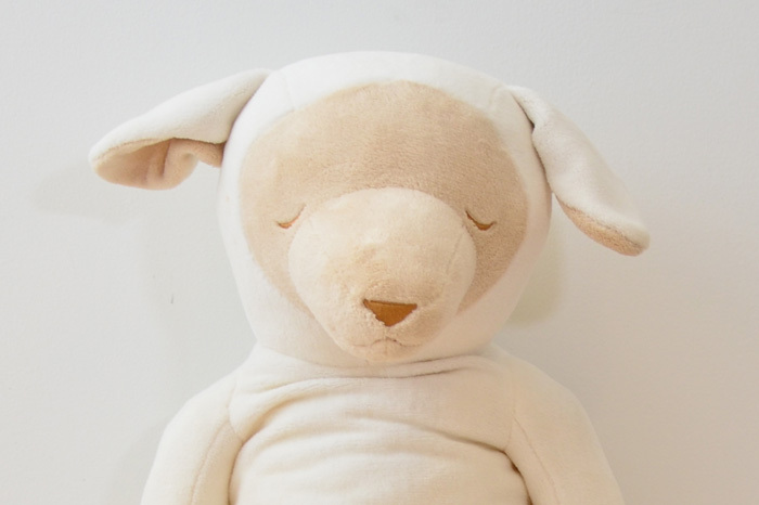 まくら株式会社のプレスリリース画像6