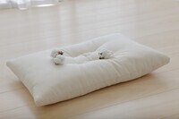 まくら株式会社のプレスリリース画像5