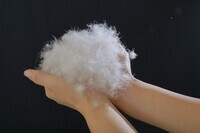 まくら株式会社のプレスリリース画像6