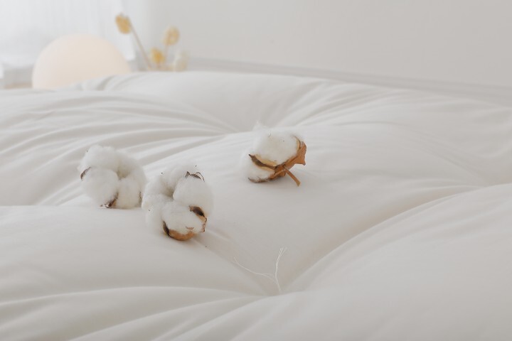 まくら株式会社のプレスリリース画像9