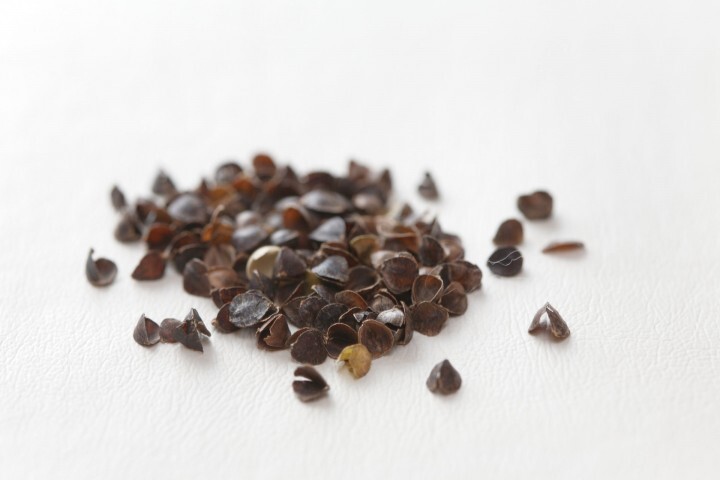 まくら株式会社のプレスリリース画像8