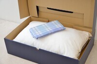 まくら株式会社のプレスリリース画像2