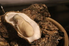 しもきた商店街振興組合のプレスリリース画像8