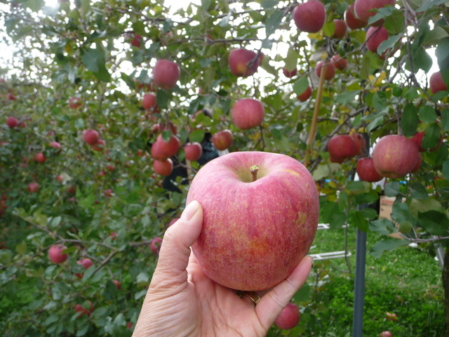 東関交通株式会社のプレスリリース画像5