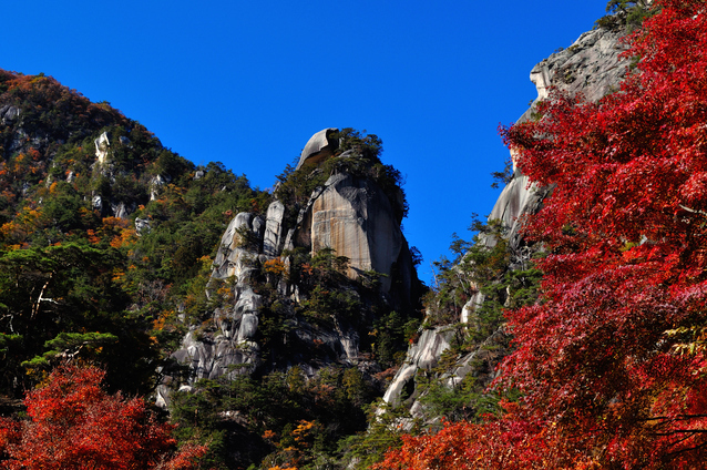 東関交通株式会社のプレスリリース画像4