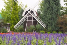 東関交通株式会社のプレスリリース画像5