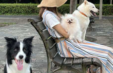 東関交通株式会社のプレスリリース画像1