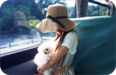 東関交通株式会社のプレスリリース画像2