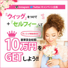 株式会社プリシラのプレスリリース