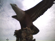 立教大学観光学部舛谷研究室のプレスリリース画像1