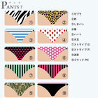 株式会社アイルのプレスリリース画像4