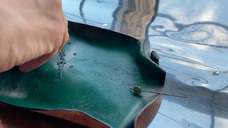 株式会社アイルのプレスリリース画像7