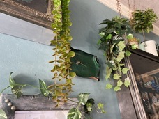 株式会社アイルのプレスリリース画像4