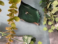 株式会社アイルのプレスリリース画像5