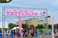 株式会社ソル・メディアのプレスリリース画像1