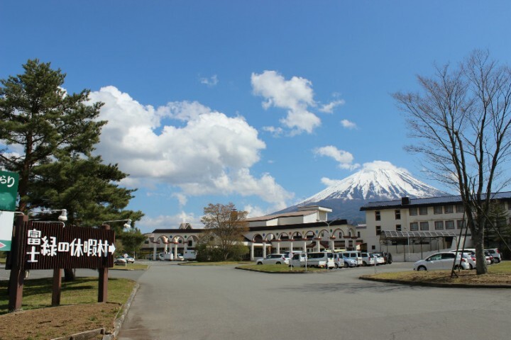 株式会社インターナショナルスクールタイムズのプレスリリース画像7