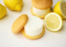 株式会社美十のプレスリリース画像1