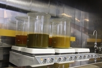 一般社団法人　原発事故被災動物と環境研究会のプレスリリース画像2